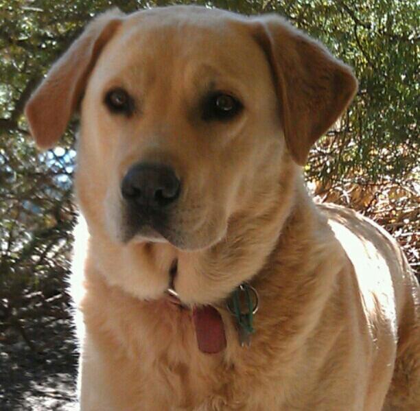Oscar